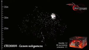 Салют Салют победителя 80 залпов