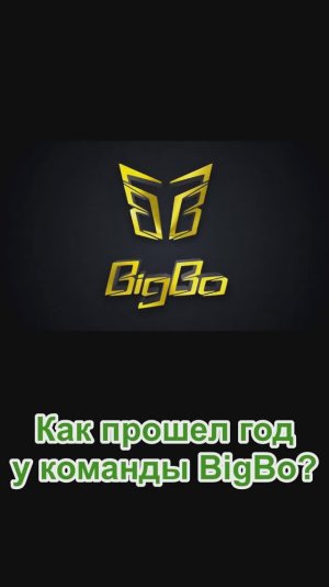 Наиболее яркие события уходящего года у команды BigBo