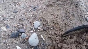 Бюджетный Коп C металлоискателем MD 4050 Пляж