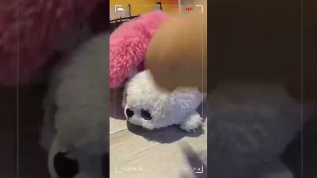 Я попал в другой мир! (МирИгрушек)