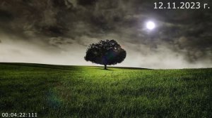 813 Чёрная курица 12.11.2023 г