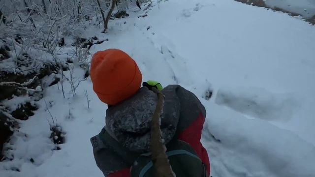 каменомостский зима