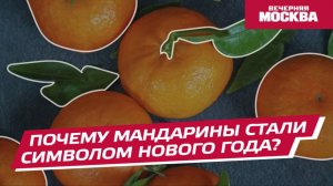 Почему мандарины стали символом Нового года? // Вечерняя Москва