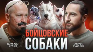 Бойцовские собаки – Мифы и воспитание собак / Кинолог Виталий Орлов