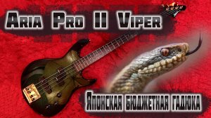 Бас-гитара Aria Pro II Viper - бюджетная гадюка из Японии