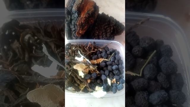 Иван-чай, лист липы,  черноплодная рябина и  гриб Чага. Рецепт. ФитоДар