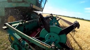 продолжение уборочной на ячмене молотим и сразу  возим