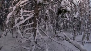 Охота с гончими.