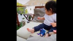 Смешные видео на RUTUBE.