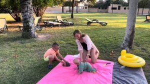 Замечательная черепаха в отеле