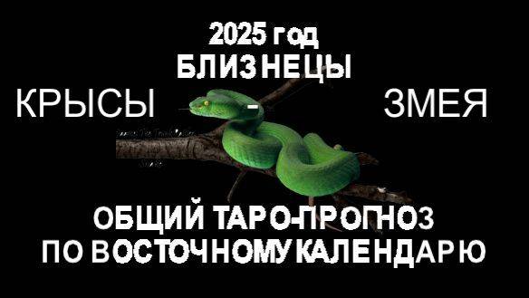 ОБЩИЙ ТАРО ПРОГНОЗ НА 2025Г ПО ВОСТОЧНОМУ КАЛЕНДАРЮ. БЛИЗНЕЦЫ  ЧАСТЬ1
КРЫСА-ЗМЕЯ