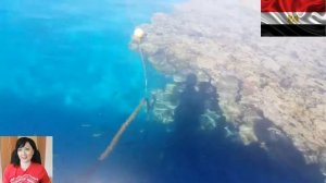 Что можно снимать в Египте, а что нельзя? Фото, видео, селфи. Запрещено или разрешено? Изменения