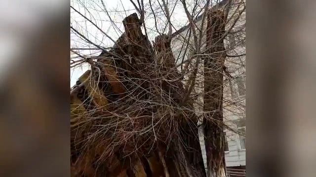 Екібастұз жаңалықтары Қатты жел салдарынан болған шығындар анықталуда