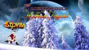 Предновогодний концерт