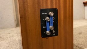 Legacy Audio Focus SE