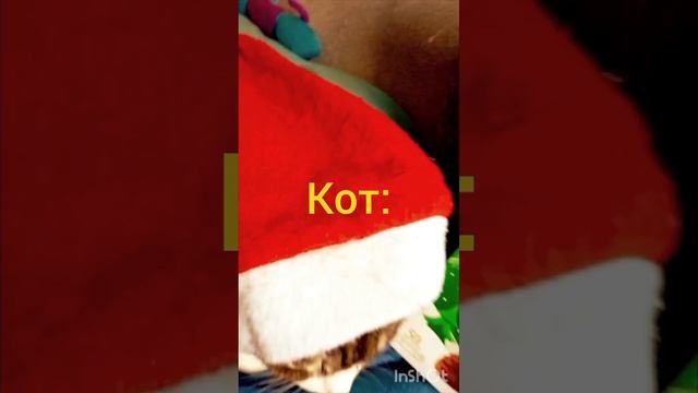 конфеты вкусные!