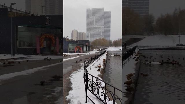 Большой Чертановский пруд