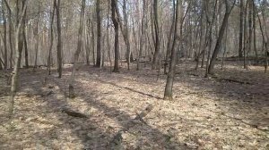 Строительство лесной хижины. Серия 1 - Начало стройки, дверь, столбы.