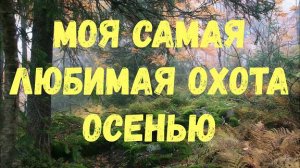 Моя самая любимая охота осенью