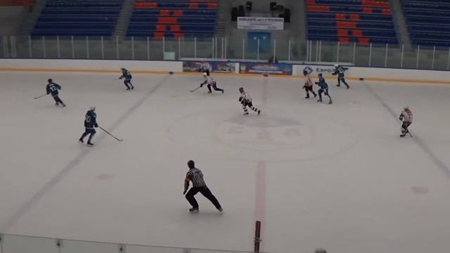 SBS-farm - Сосновый бор. Второй период