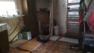 Необычный дом вокруг дерева