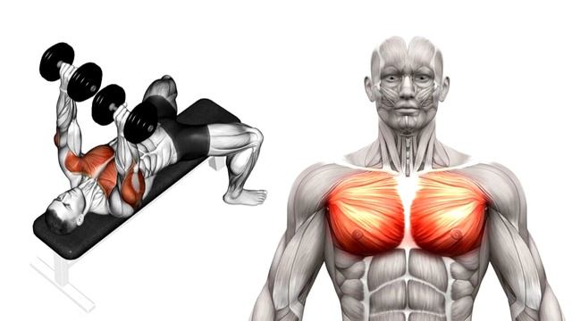 Всего 5 упражнений которые нужны чтобы Накачаться смотреть онлайн