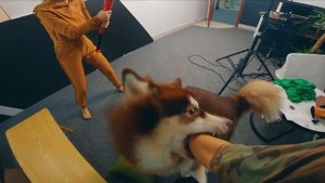 ANGRY DOG vs PARKOUR THIEF (Epic Parkour Chase POV)