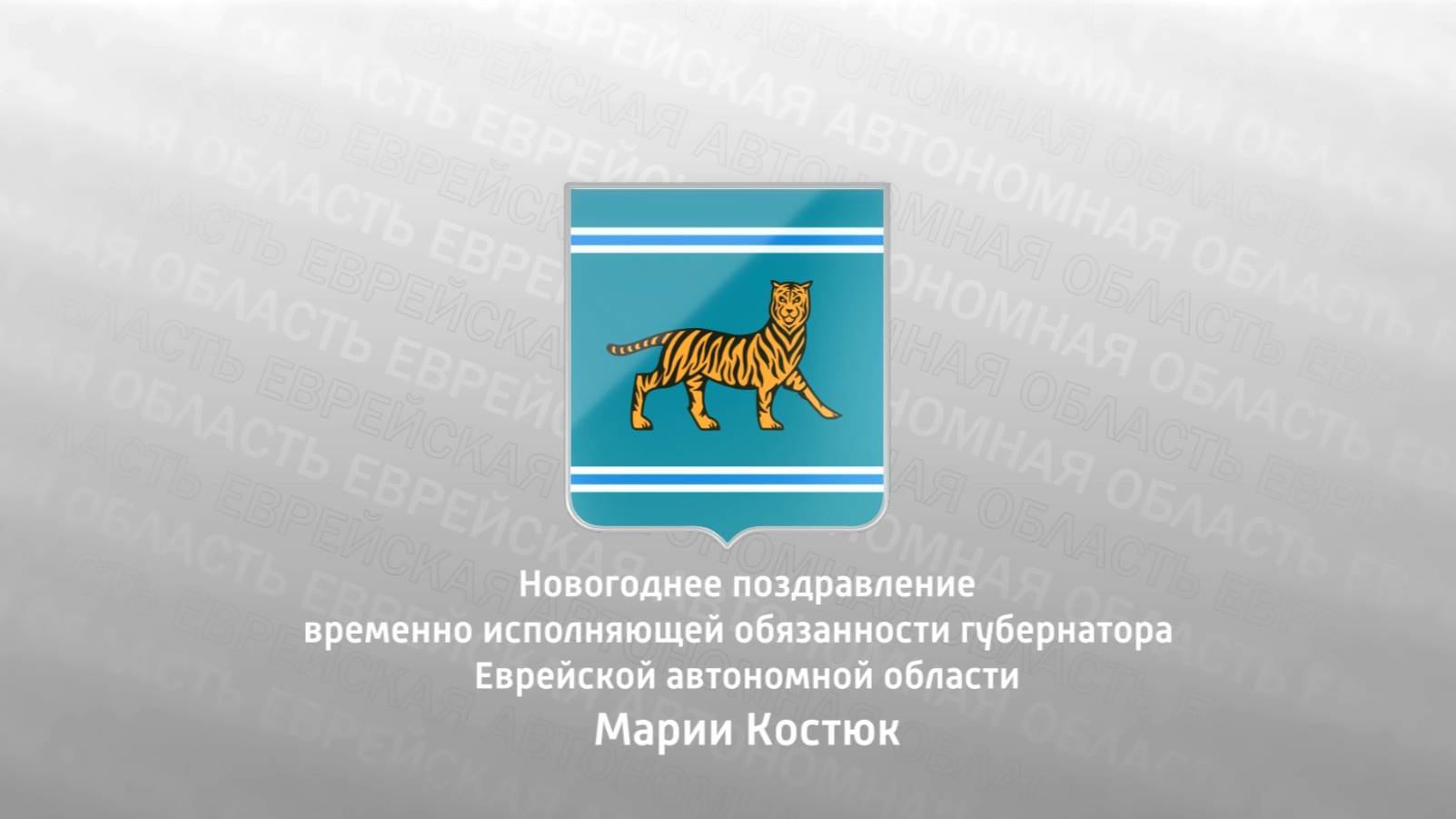 Мы вместе, и в этом наша сила: Мария Костюк поздравила жителей ЕАО с новым, 2025 годом