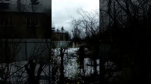 Попытка украсть алабая!!! смотреть онлайн