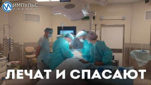 Лечат и спасают