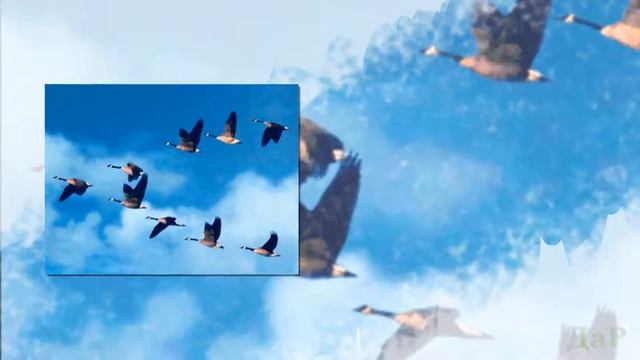 Пригорюнилась душа смотреть онлайн