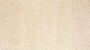 Видео игра для кошек