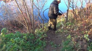 ВОССТАНАВЛИВАЕМ ПОЧВУ ПТИЦЫ ХУЛИГАНЯТ