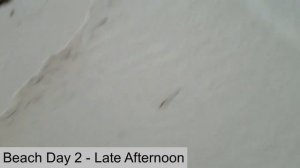 Valentin Cayo Cruz Cuba | Beach Days 1 - 5