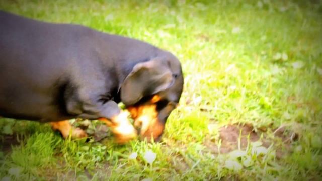 Выходные в Тюмене смотреть онлайн