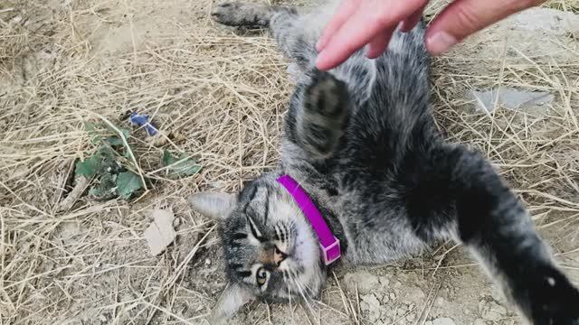 Природа Благодать, песня просто так.. смотреть онлайн