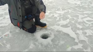 WhatsApp Video 2024-12-28 at 10.09.23