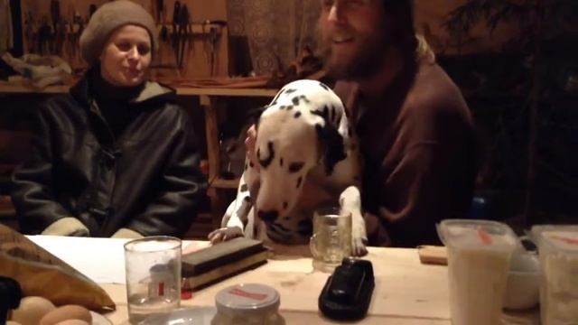 Собачьи песни смотреть онлайн