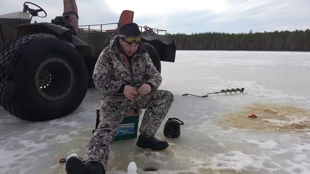 Поймали окуней в одном озере и отпустили в другое