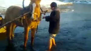 Башкирские приколы (ржачка до слёз)