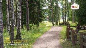 Шампиньоны, финики и закуска с ананасом на гриле | На гриле