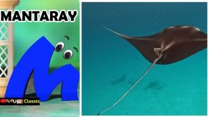 Phonic sound | Abcs Phonics song | ABC Phonic Sea Animal song | A for Apple song#loolookid