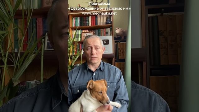Эсциталопрам (ципралекс, элицея, селектра)