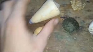 ракушки от Zoouri5