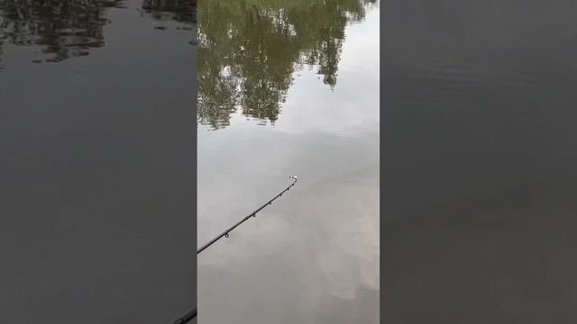Рыбалка,природа❤️ смотреть онлайн