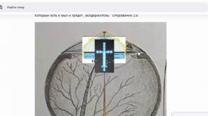 Трамп миссИя земли?