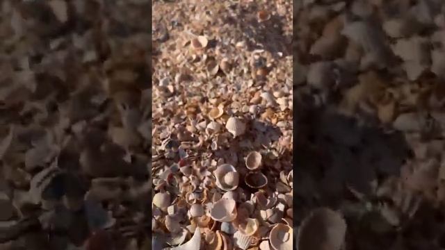 ЛУЧШИЙ ПЛЯЖ НА АЗОВСКОМ МОРЕ #голубицкая #пляж #азовскоеморе #море #отпуск #отпуск2024