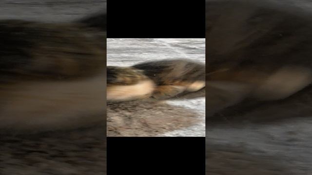 #cat 2024.12.28_07.23