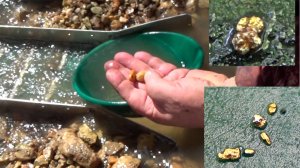 Добыл золотой самородок в золотоносном ручье!