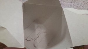 мой собрат балуется с коробкой